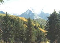 夹金山